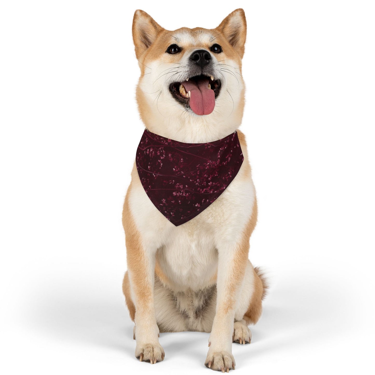 Prunus Cerasifera No. 4, Pet Bandana Collar
