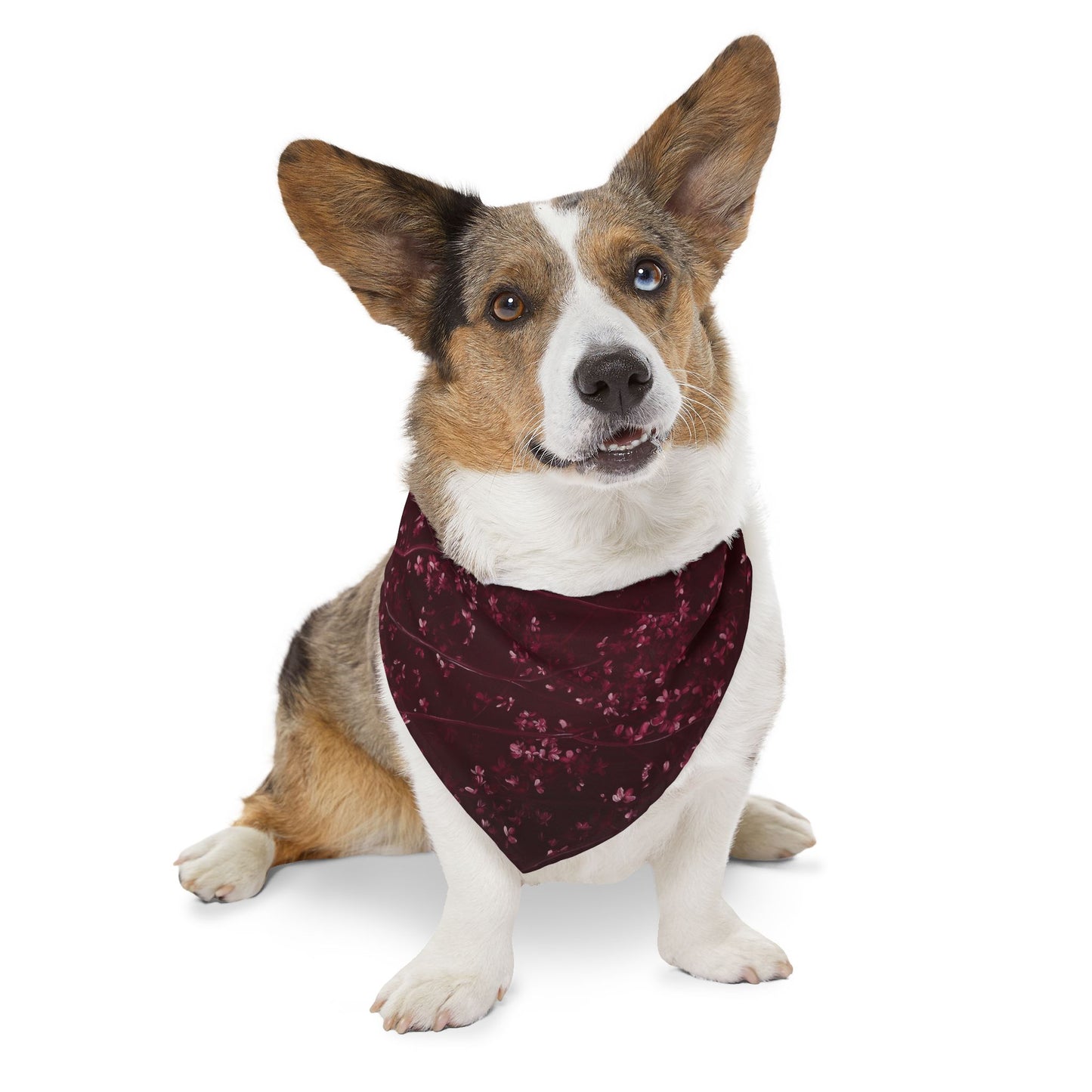 Prunus Cerasifera No. 4, Pet Bandana Collar