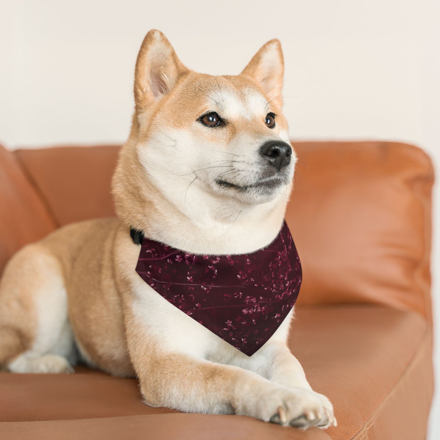 Prunus Cerasifera No. 4, Pet Bandana Collar