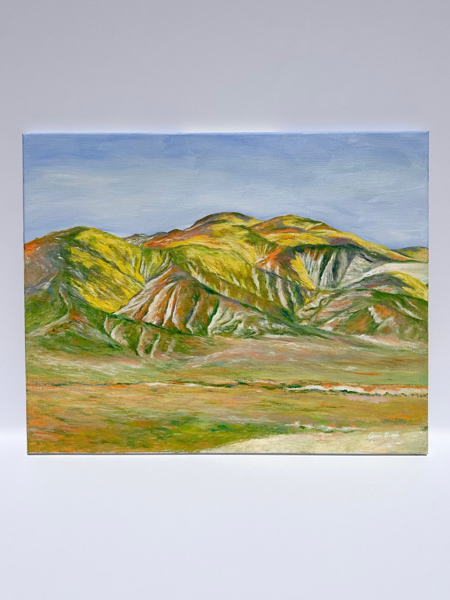 Carrizo Plain National Monument