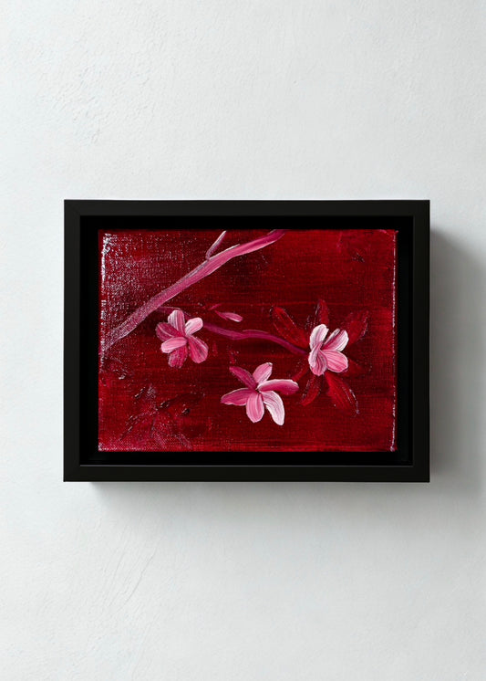 Mini Cerasifera No. 1