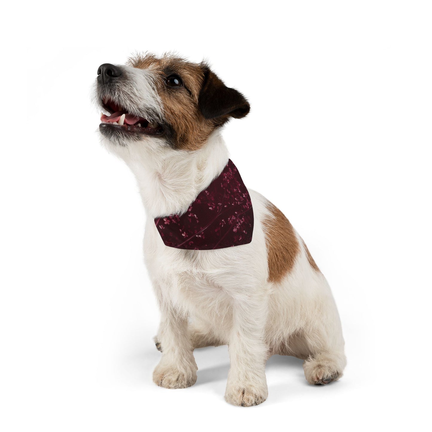 Prunus Cerasifera No. 4, Pet Bandana Collar