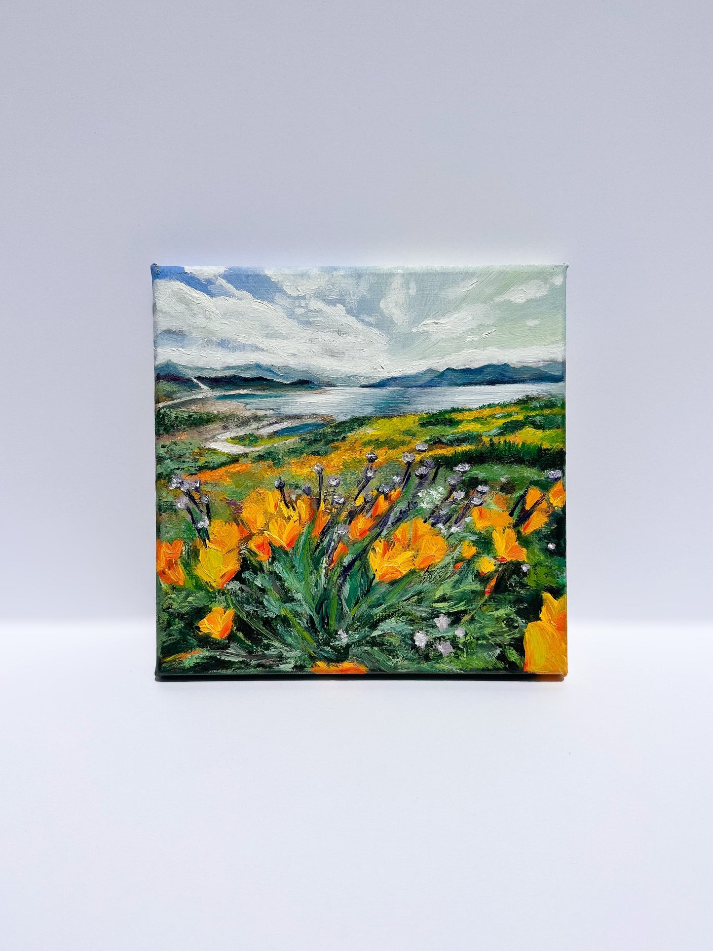 Diamond Valley Lake 23’