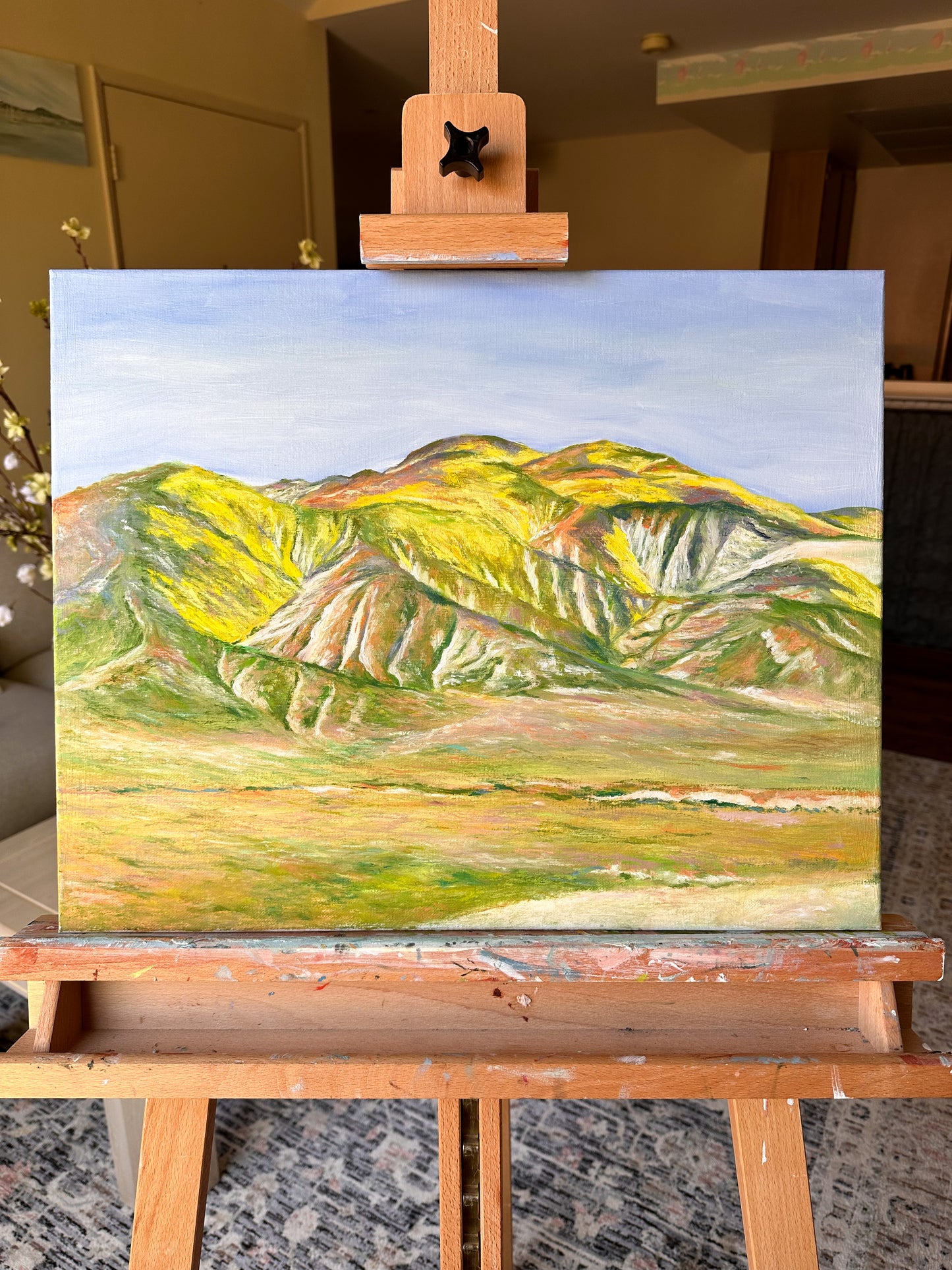 Carrizo Plain National Monument