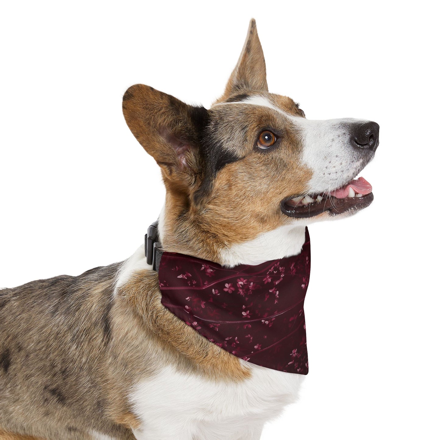 Prunus Cerasifera No. 4, Pet Bandana Collar