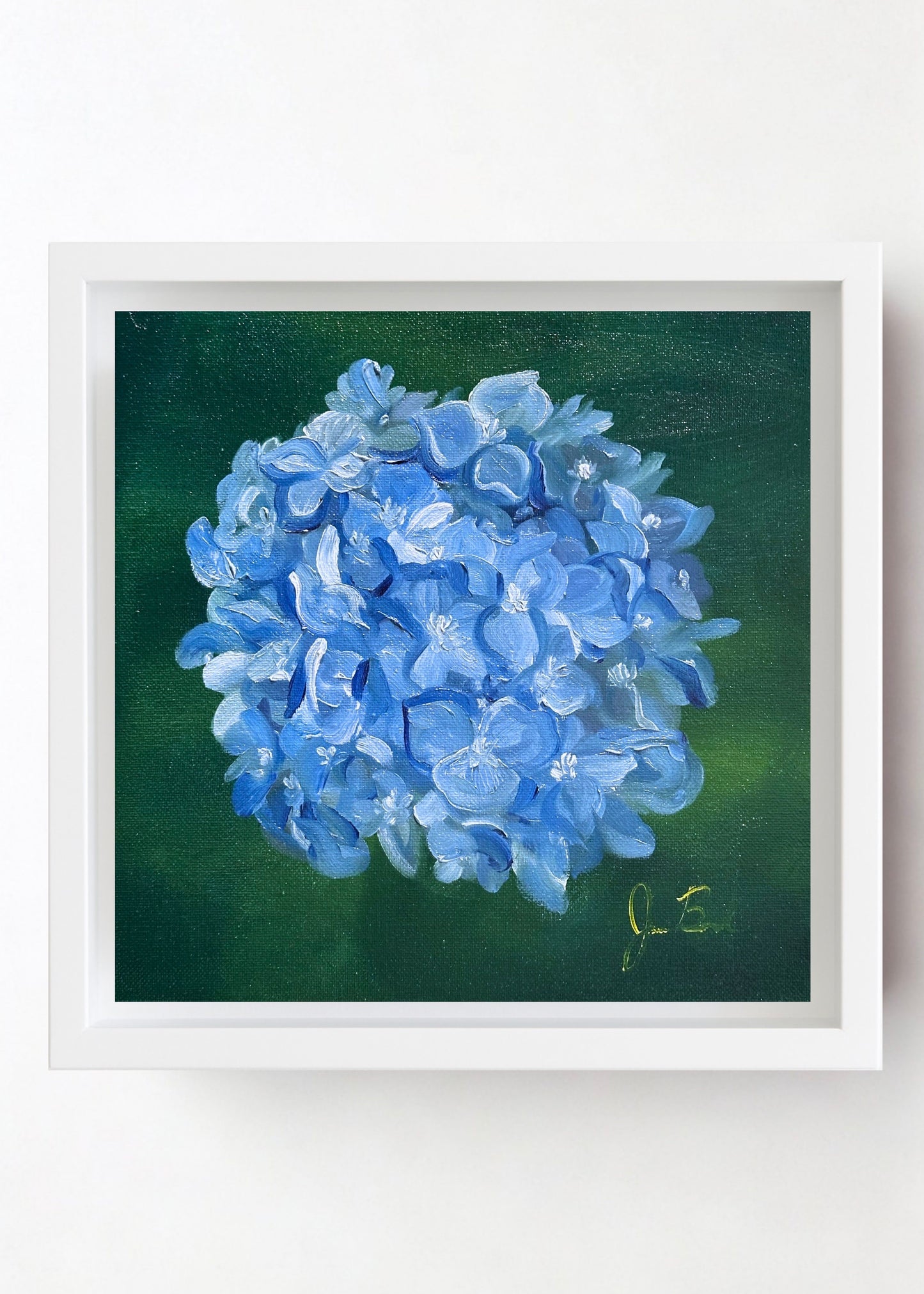 Blue Hydrangea '26
