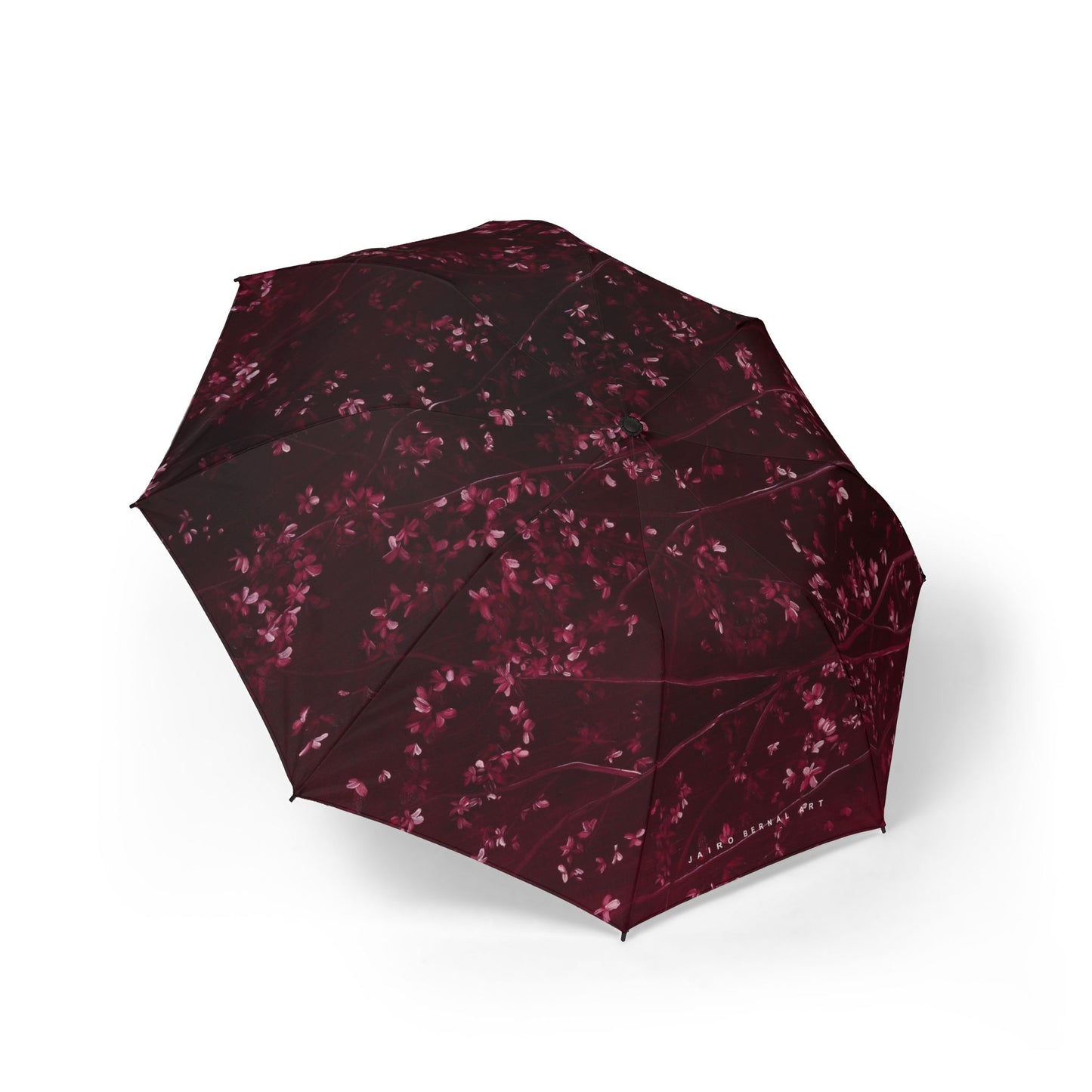 Prunus Cerasifera No. 4, Umbrella