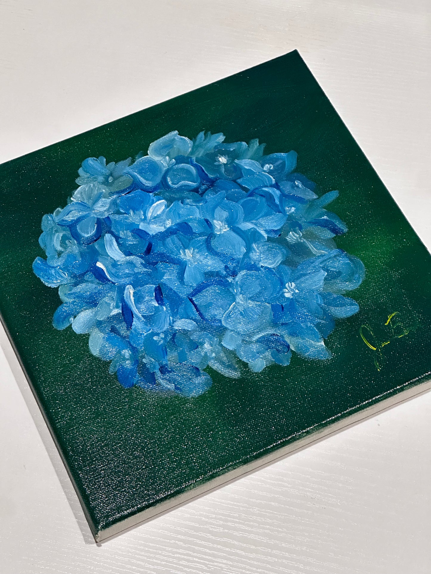 Blue Hydrangea '26