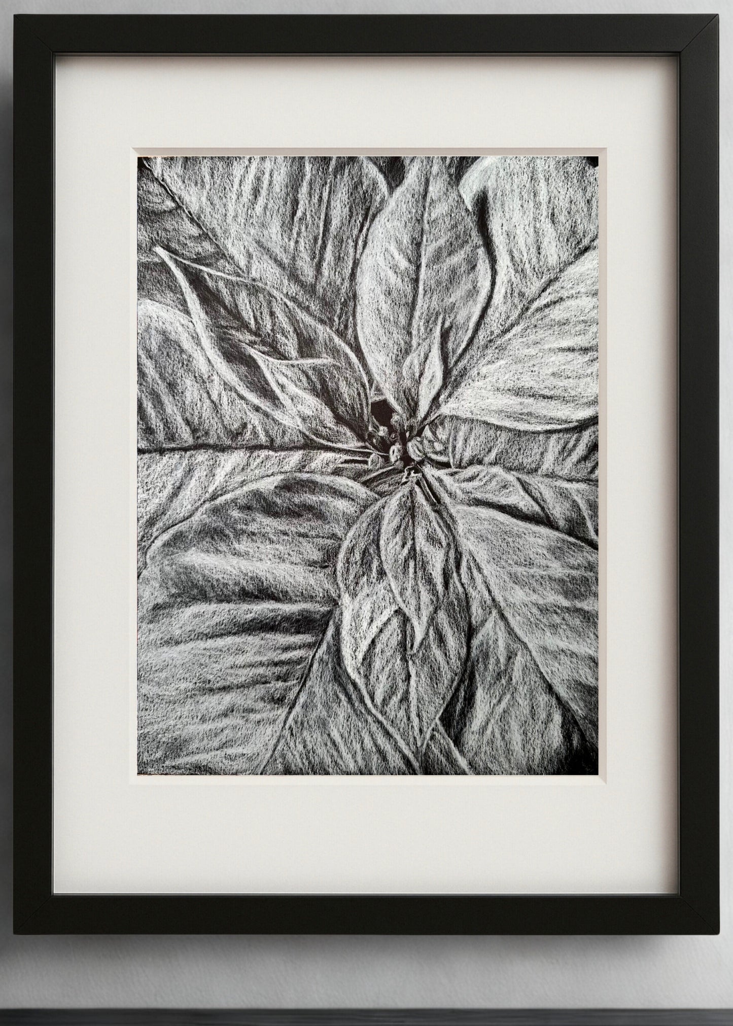 Scarlet Cloth No. 2