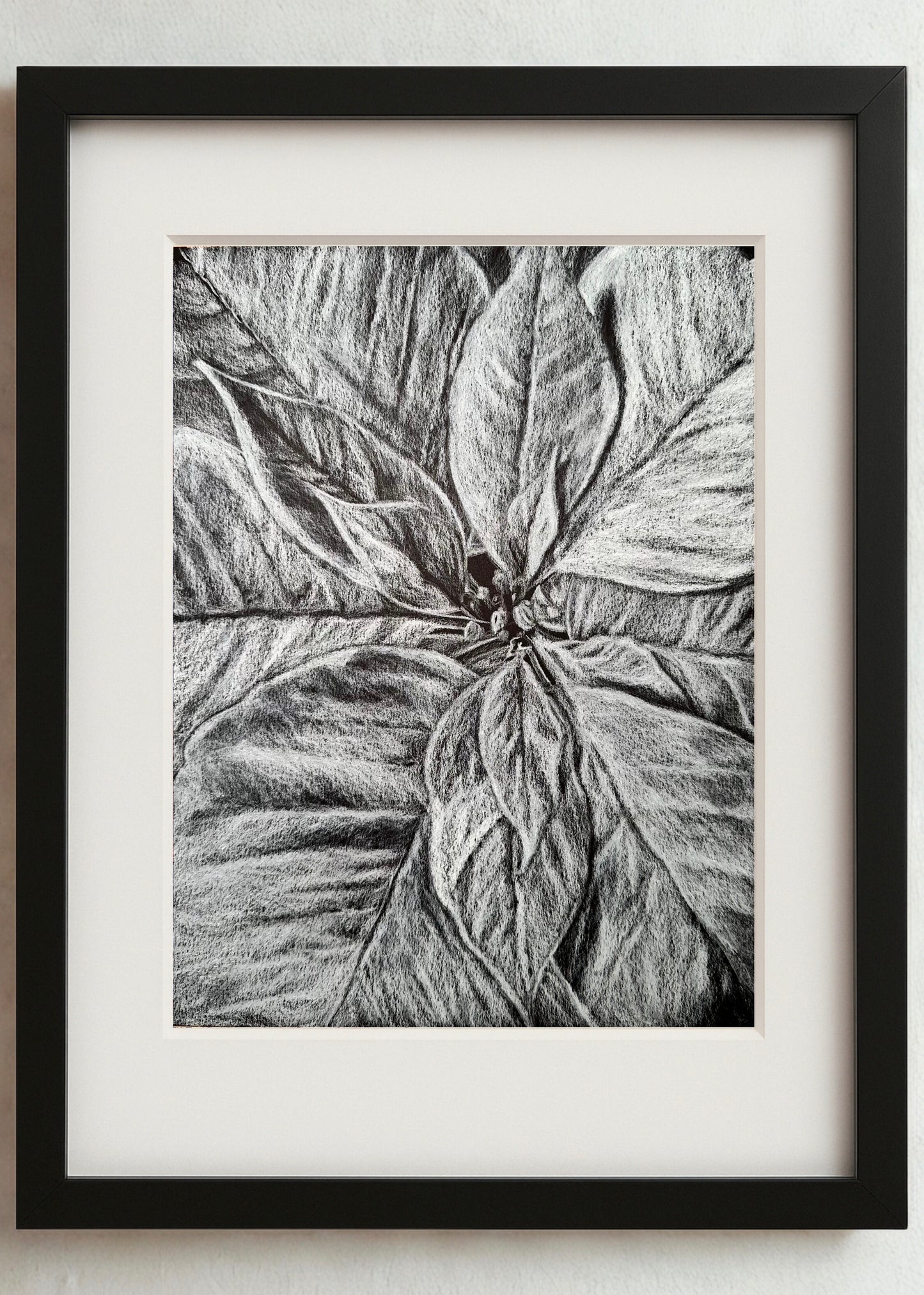 Scarlet Cloth No. 2