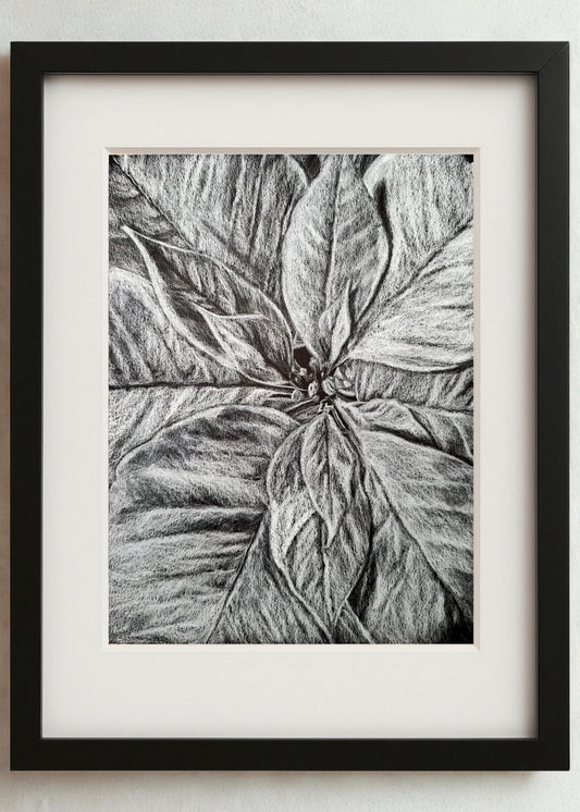 Scarlet Cloth No. 2
