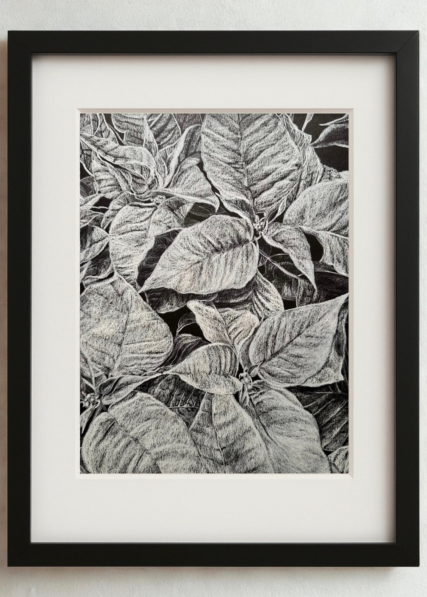 Scarlet Cloth No. 1