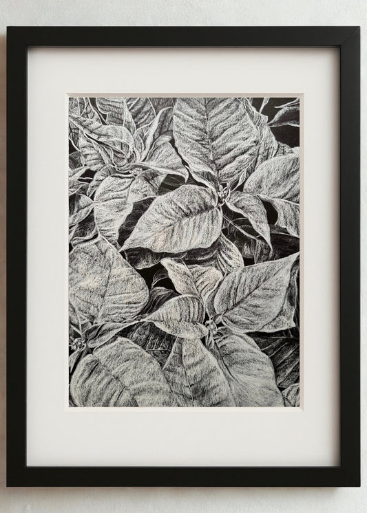 Scarlet Cloth No. 1