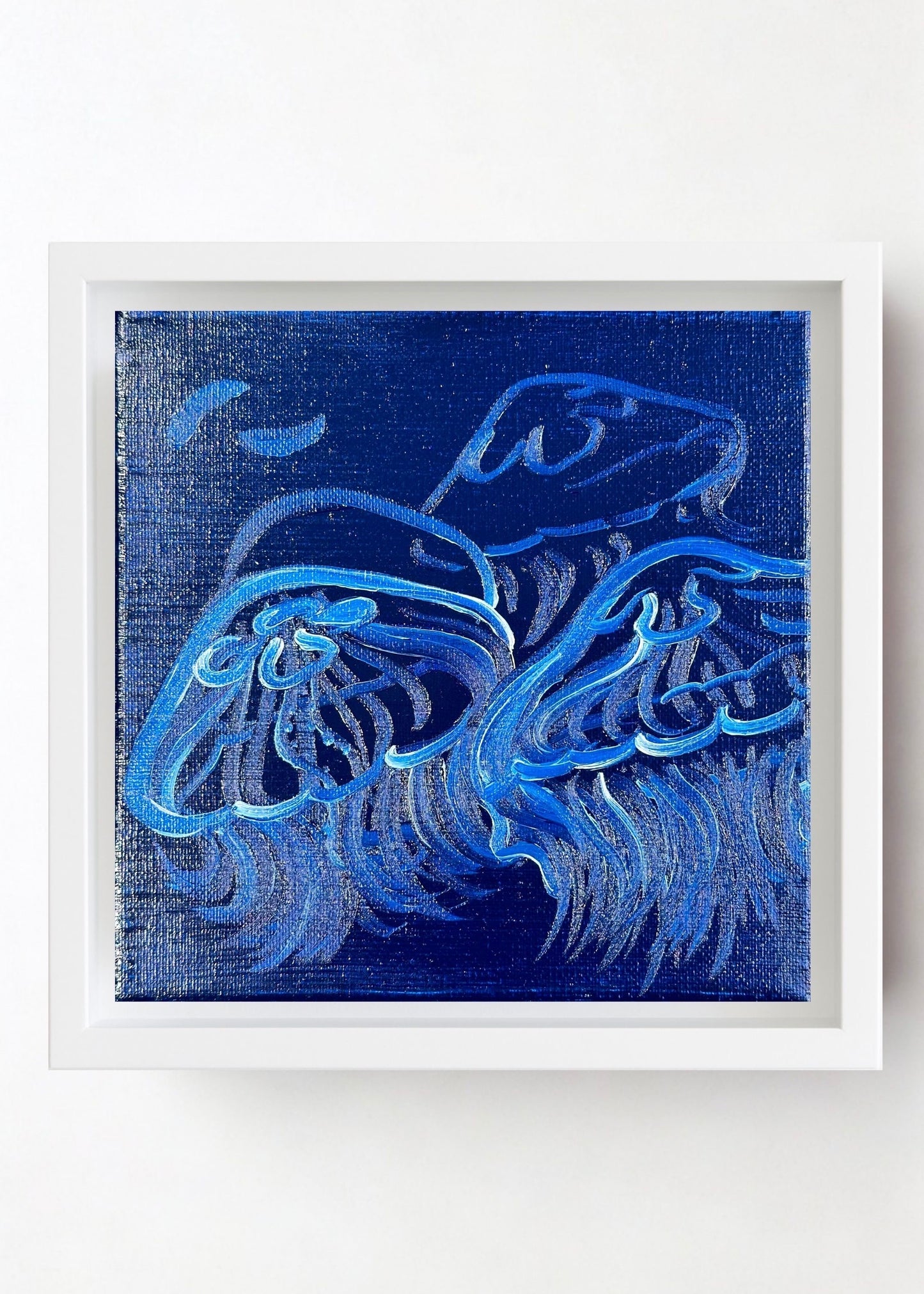 Sea Jellies